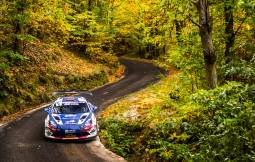 Critérium des Cévennes 2025 - L'album